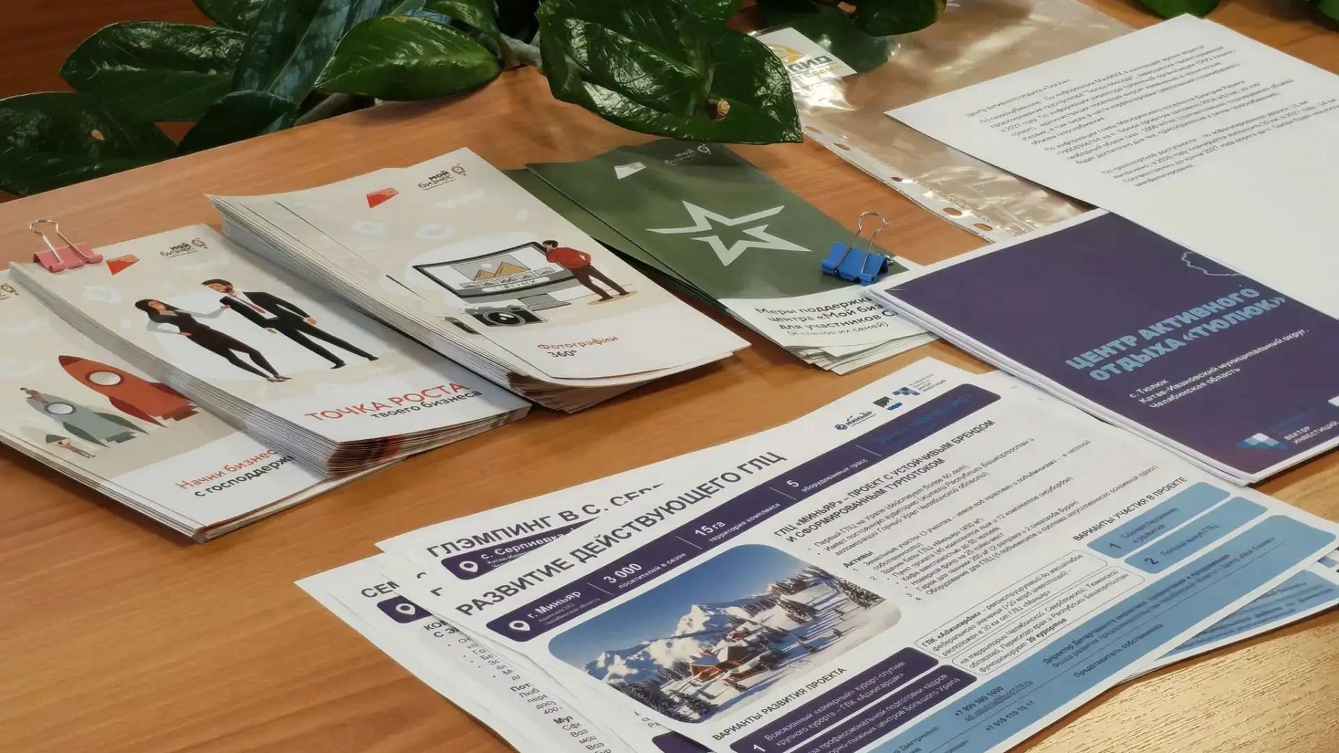 В Аше обсудили инструменты поддержки бизнеса и показали перспективные площадки для инвесторов